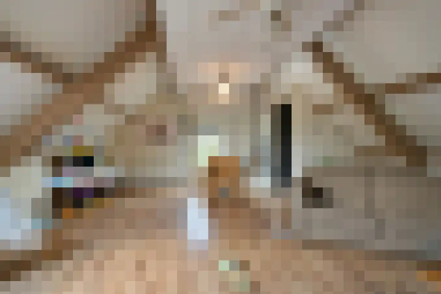 Aarleseweg 56 Best thumbnail 53
