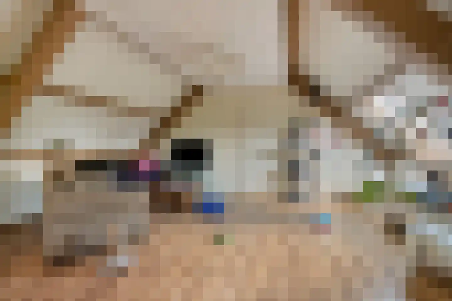 Aarleseweg 56 Best thumbnail 54