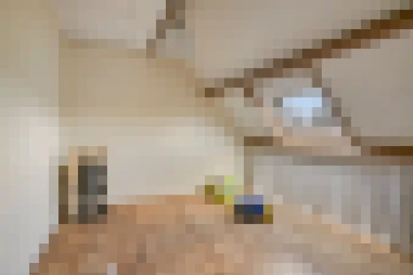 Aarleseweg 56 Best thumbnail 55