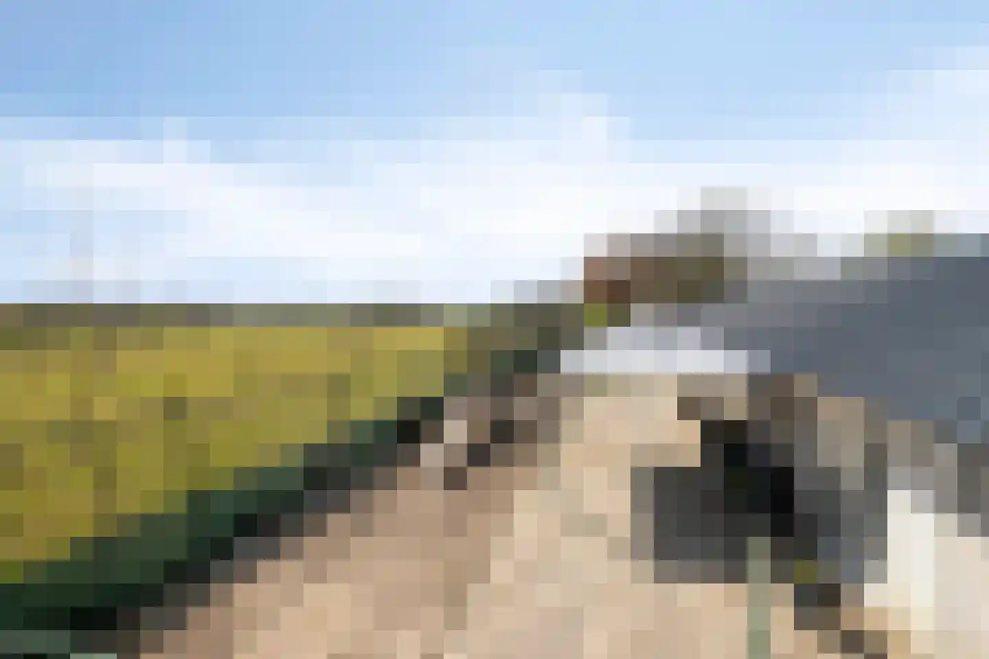 Aarleseweg 56 Best thumbnail 64