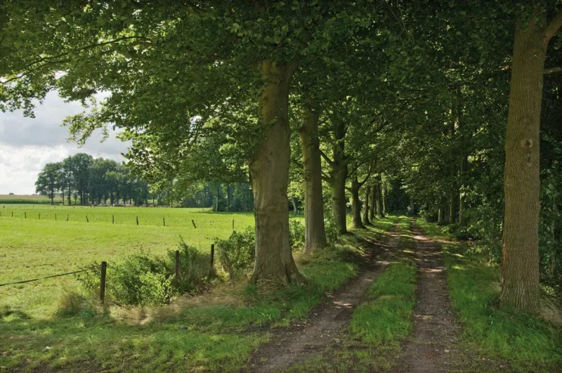Kantoor foto van Aarnink Makelaardij en Taxaties
