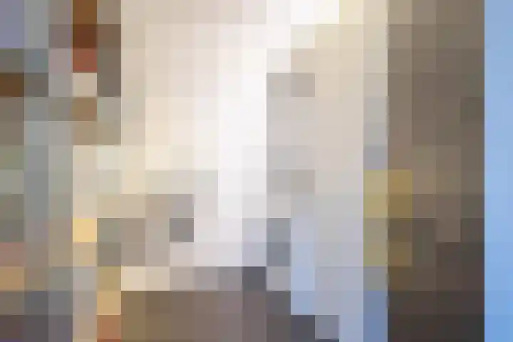 Aarnout Drostdreef 14 Goirle thumbnail 12