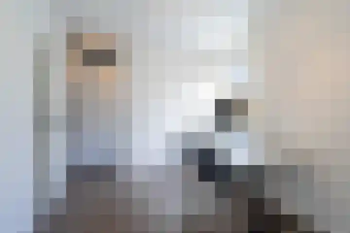 Aarnout Drostdreef 14 Goirle thumbnail 17