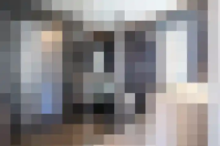 Aarnout Drostdreef 14 Goirle thumbnail 20