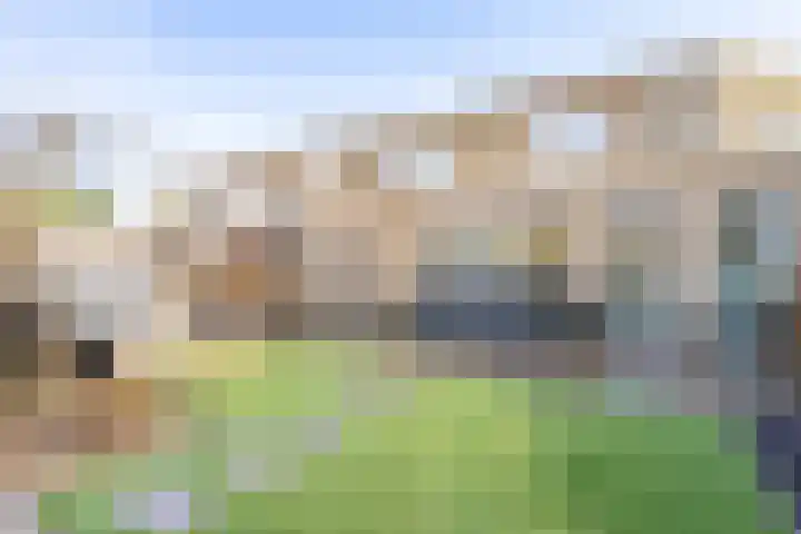 Aarnout Drostdreef 14 Goirle thumbnail 22