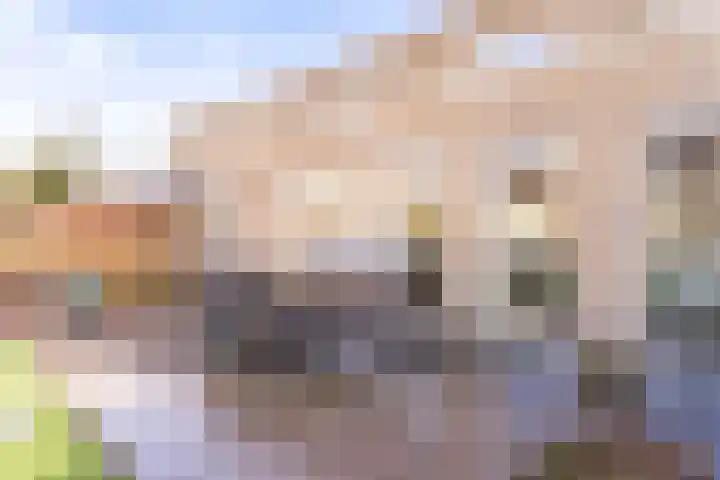 Aarnout Drostdreef 14 Goirle thumbnail 23