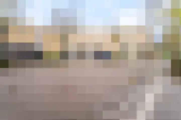 Aarnout Drostdreef 14 Goirle thumbnail 28