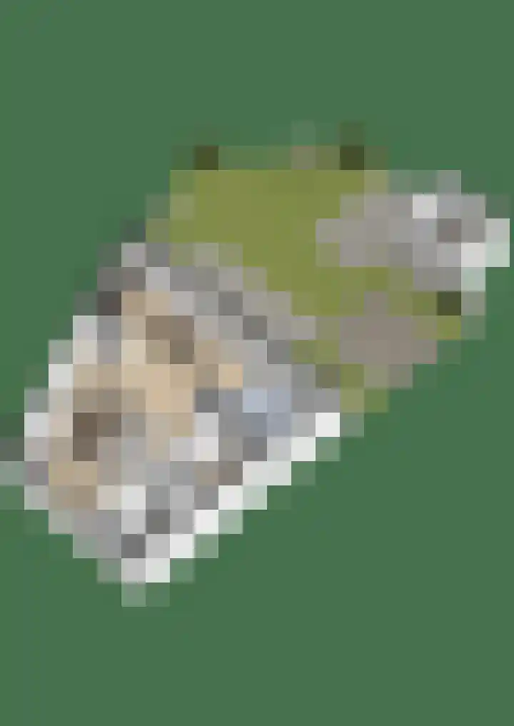 Aarnout Drostdreef 14 Goirle thumbnail 31
