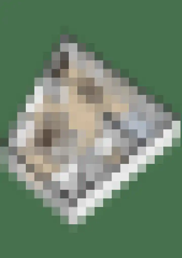 Aarnout Drostdreef 14 Goirle thumbnail 33