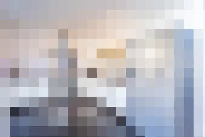 Aarnout Drostdreef 14 Goirle thumbnail 8