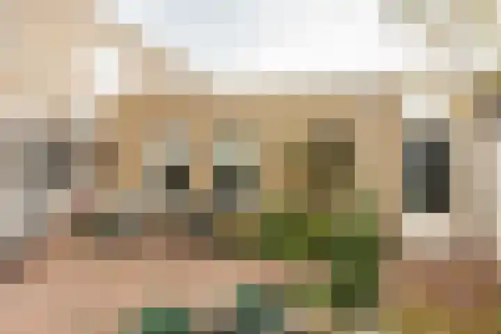 Aarnout Drostdreef 16 Goirle thumbnail 38