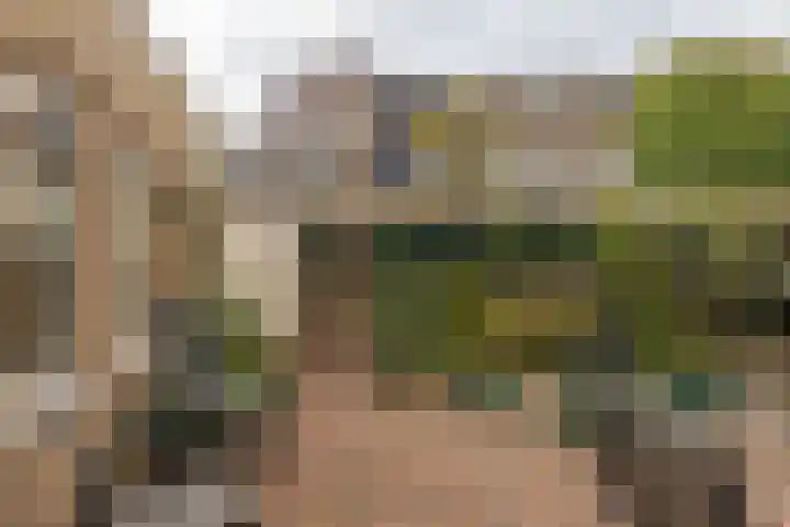 Aarnout Drostdreef 16 Goirle thumbnail 41