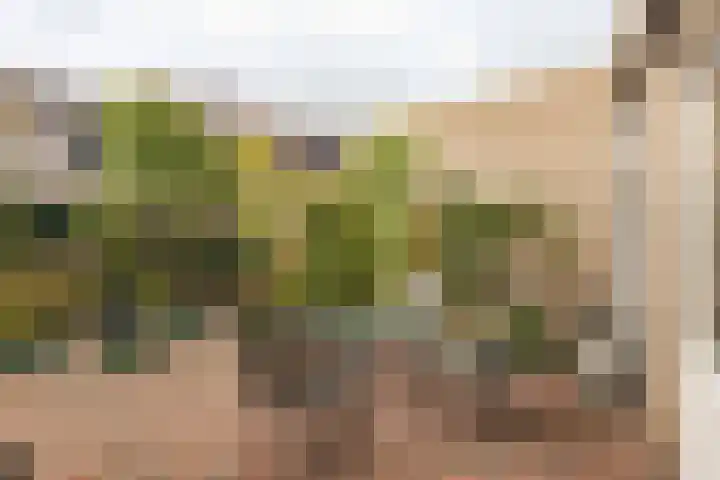 Aarnout Drostdreef 16 Goirle thumbnail 42