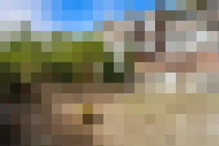 Aarnout Drostlaan 35 Den Haag thumbnail 8