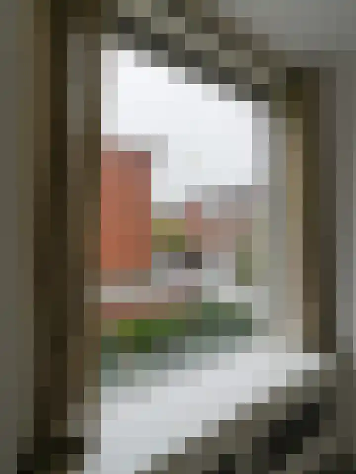Aarnout Drostlaan 61 Den Haag thumbnail 25
