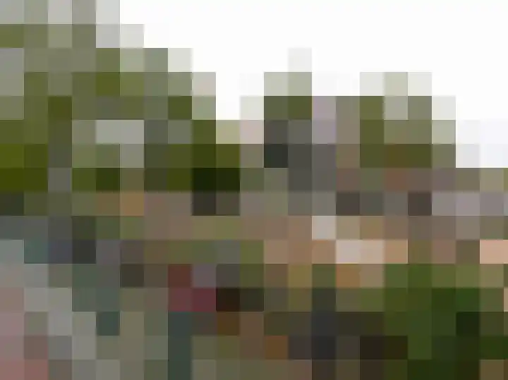 Aarnout Drostlaan 61 Den Haag thumbnail 4