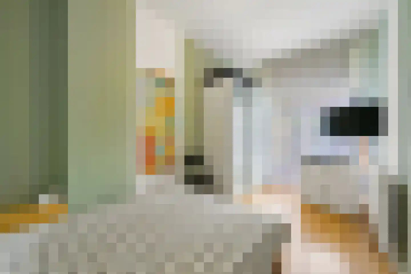 Aarnout Drostlaan 68 Den Haag thumbnail 16