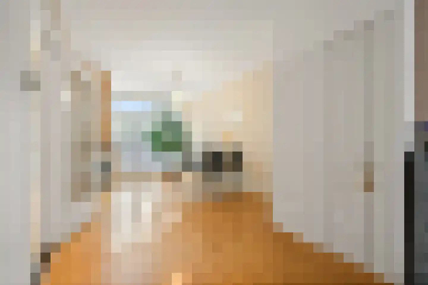 Aarnout Drostlaan 68 Den Haag thumbnail 7
