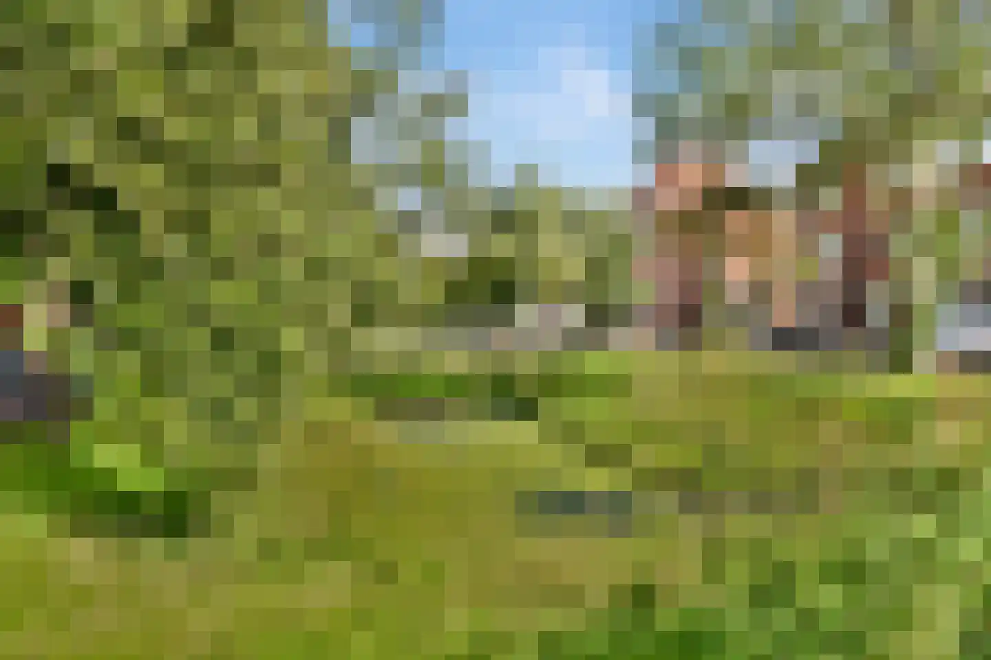 Aarnout Drostlaan 69 Den Haag thumbnail 22