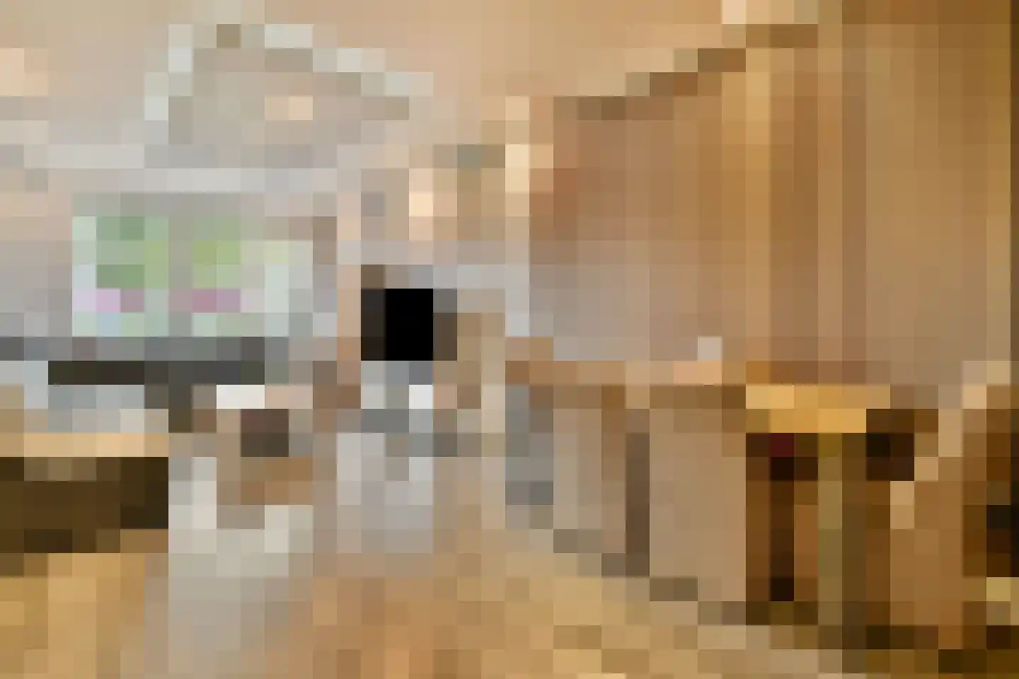 Aarnout Drostlaan 69 Den Haag thumbnail 7