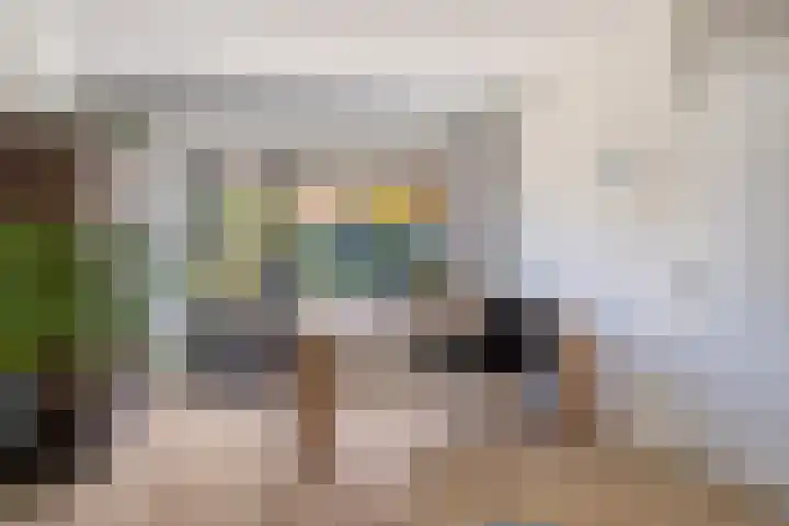 Aarschotlaan 14 Eindhoven thumbnail 15