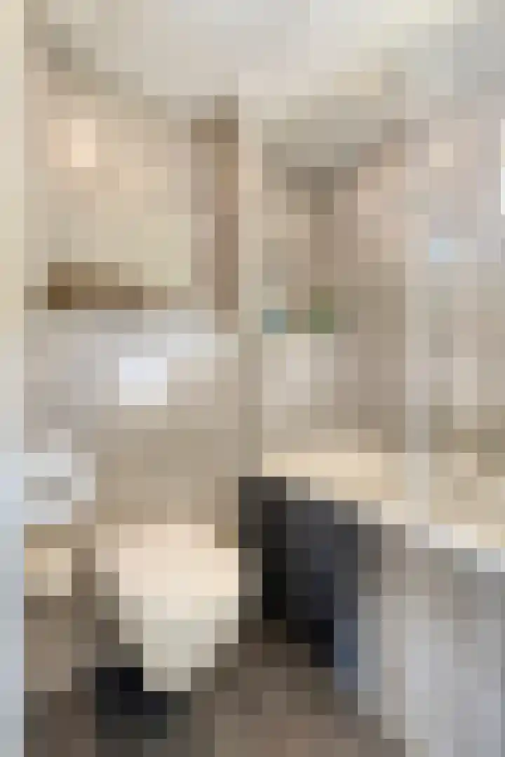 Aarschotlaan 14 Eindhoven thumbnail 22
