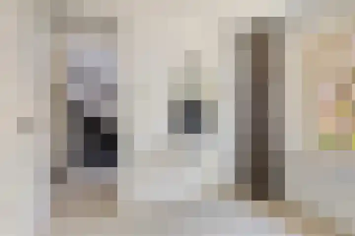 Aarschotlaan 14 Eindhoven thumbnail 24