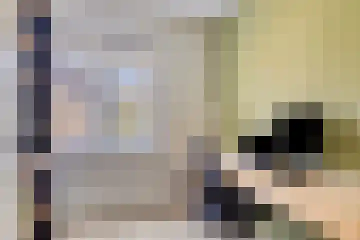 Aarschotlaan 14 Eindhoven thumbnail 25