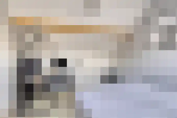 Aarschotlaan 14 Eindhoven thumbnail 28