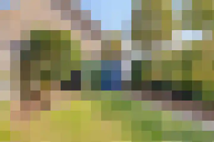 Aarschotlaan 14 Eindhoven thumbnail 30