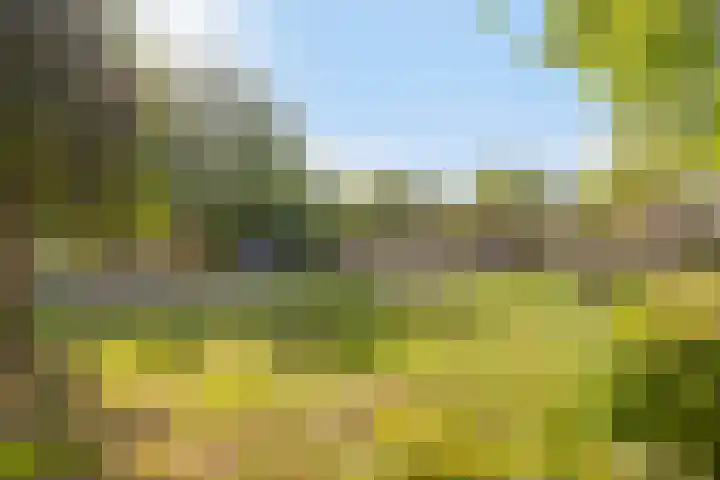 Aarschotlaan 14 Eindhoven thumbnail 33