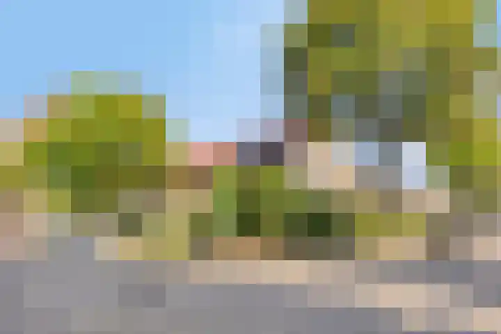 Aarschotlaan 14 Eindhoven thumbnail 6