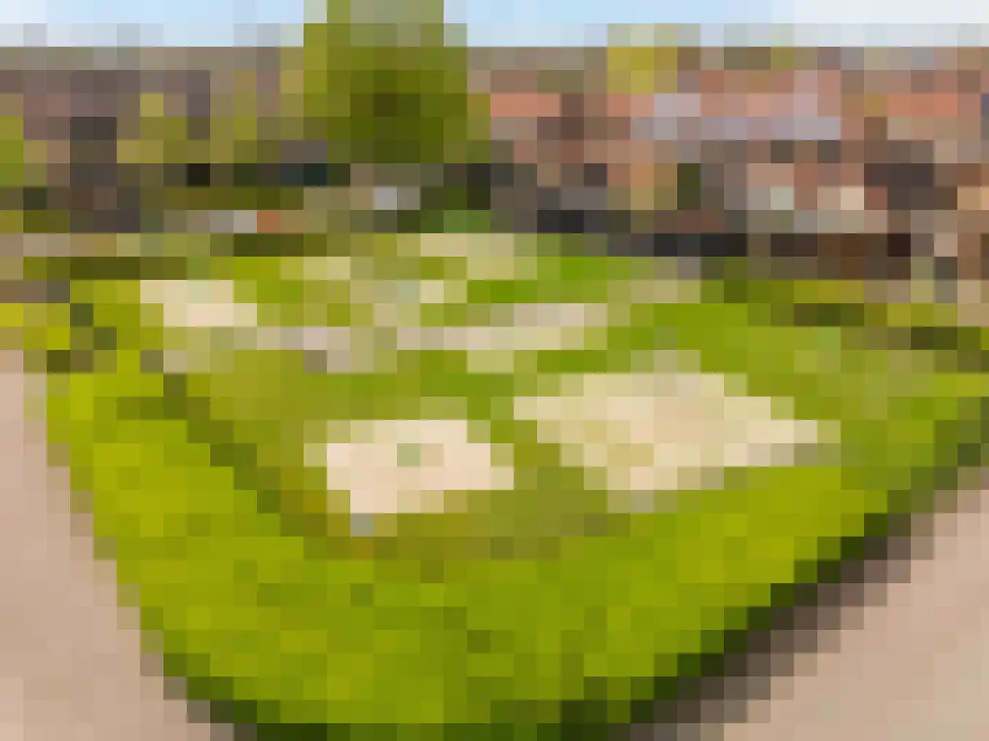 Aart Reedijkweg 17 Numansdorp thumbnail 28