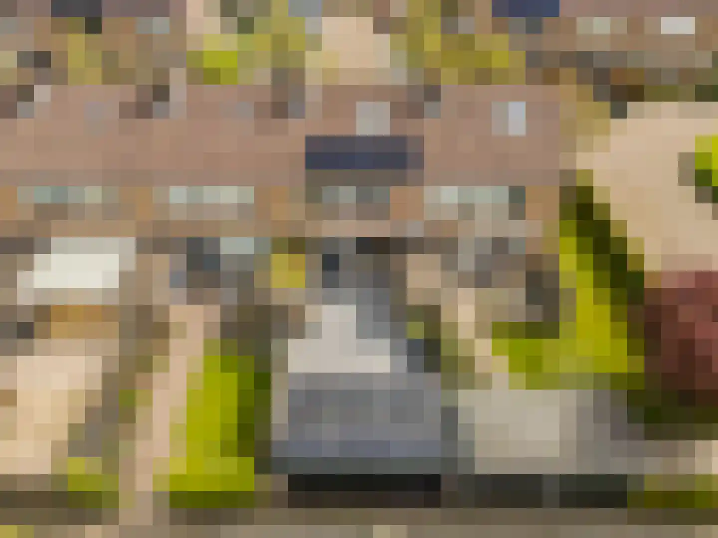 Aart Reedijkweg 17 Numansdorp thumbnail 30