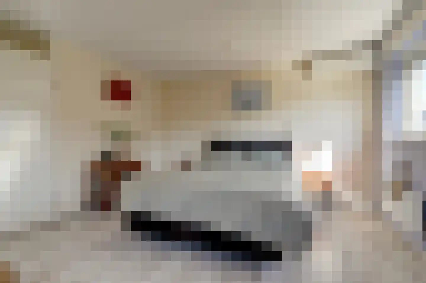 Aart van der Leeuwhove 5 Nieuwegein thumbnail 25