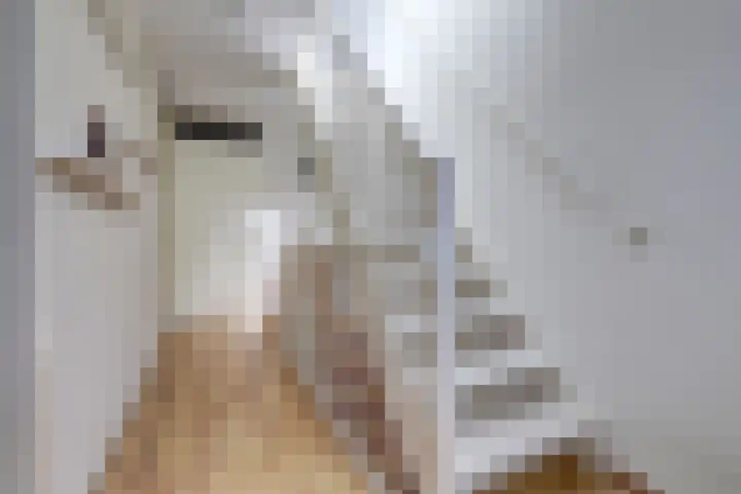Aart van der Leeuwhove 6 Nieuwegein thumbnail 25