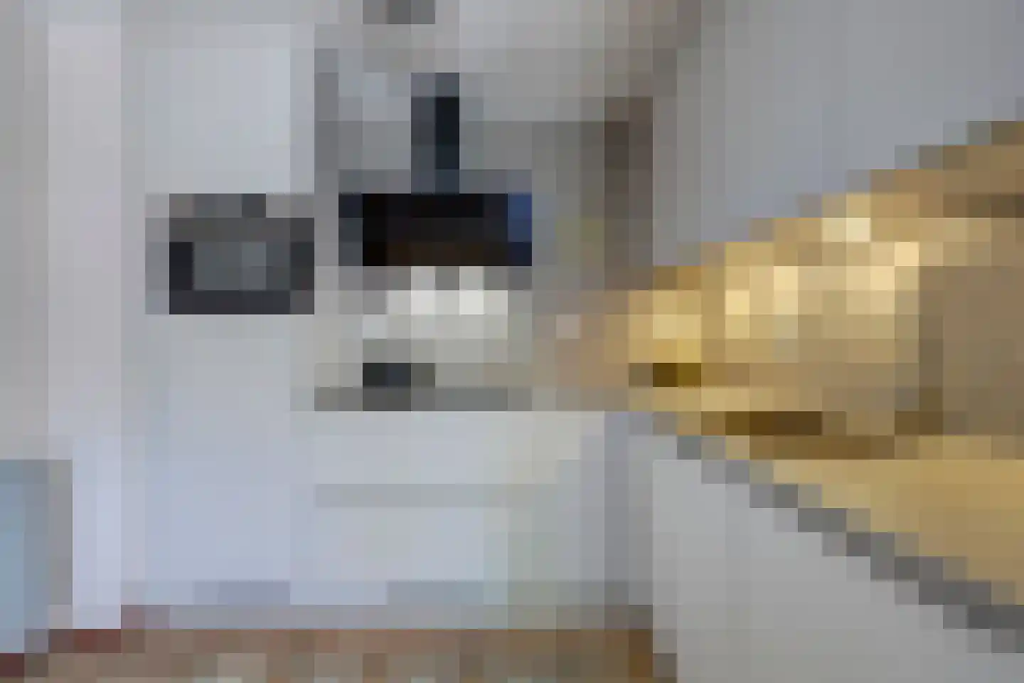 Aart van der Leeuwhove 6 Nieuwegein thumbnail 6
