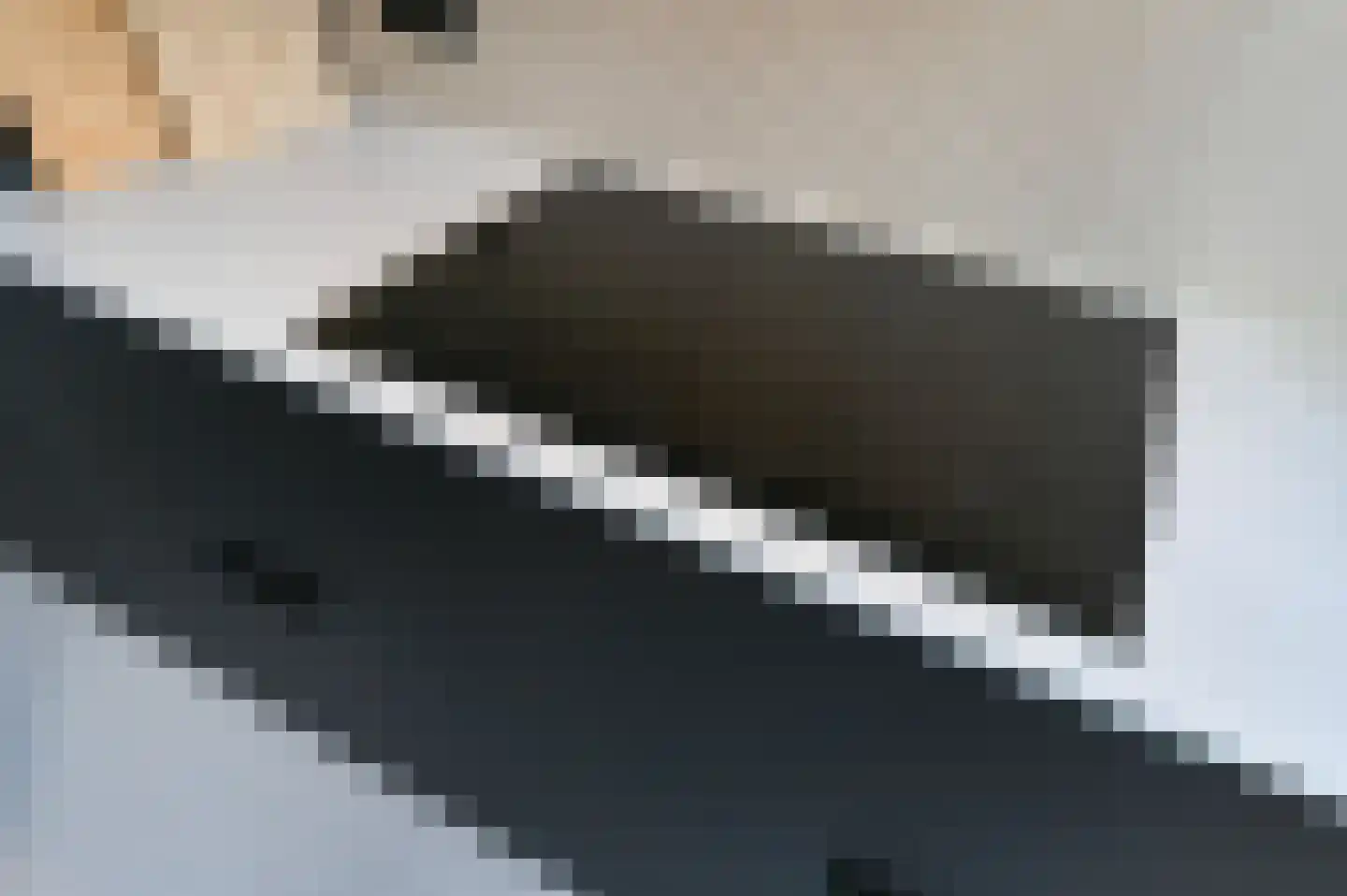 Aart van der Leeuwkade 112 Voorburg thumbnail 20
