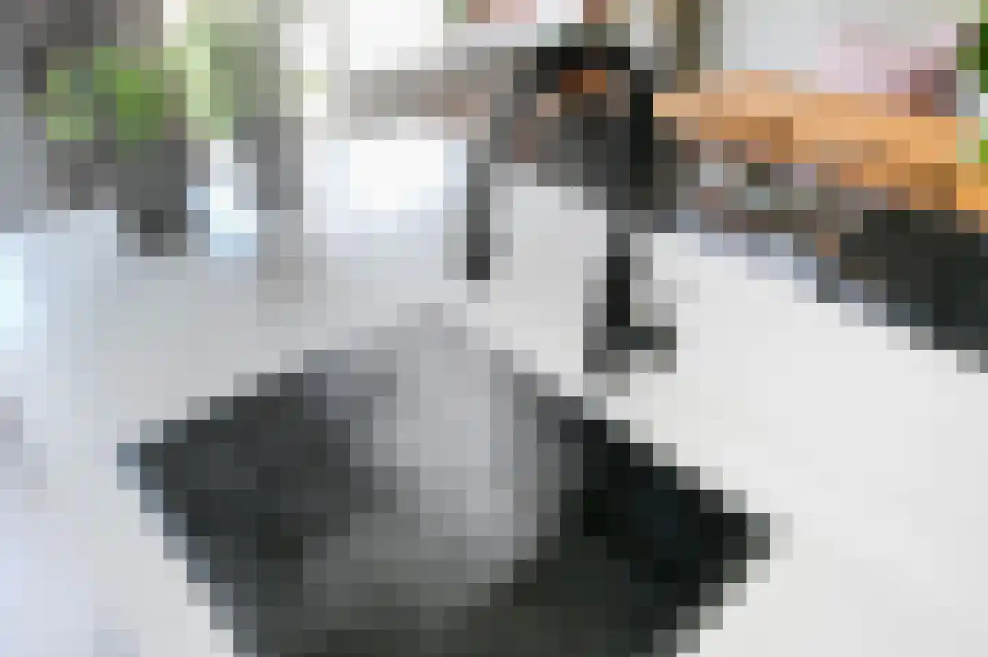 Aart van der Leeuwkade 112 Voorburg thumbnail 22