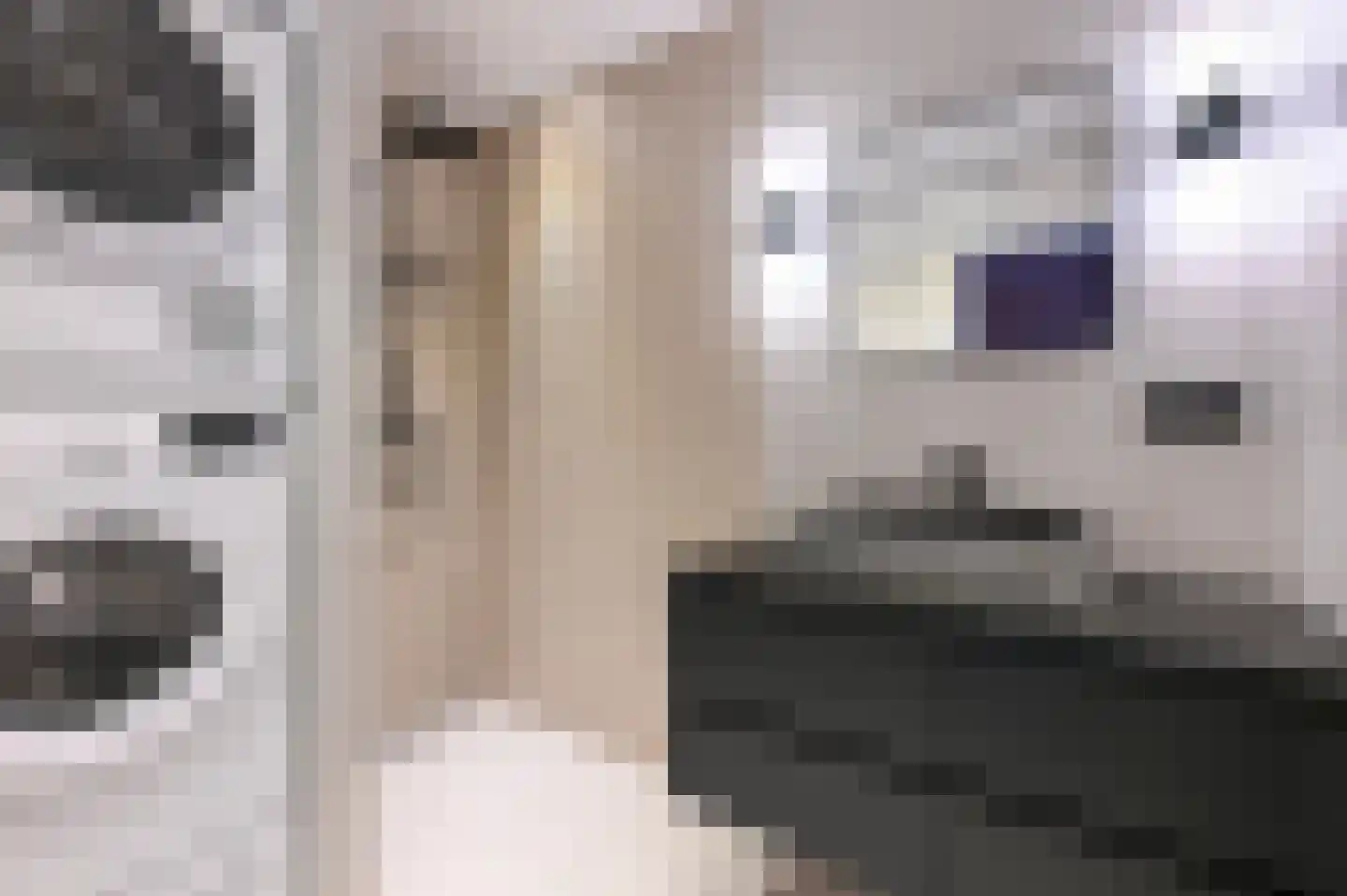 Aart van der Leeuwkade 112 Voorburg thumbnail 32