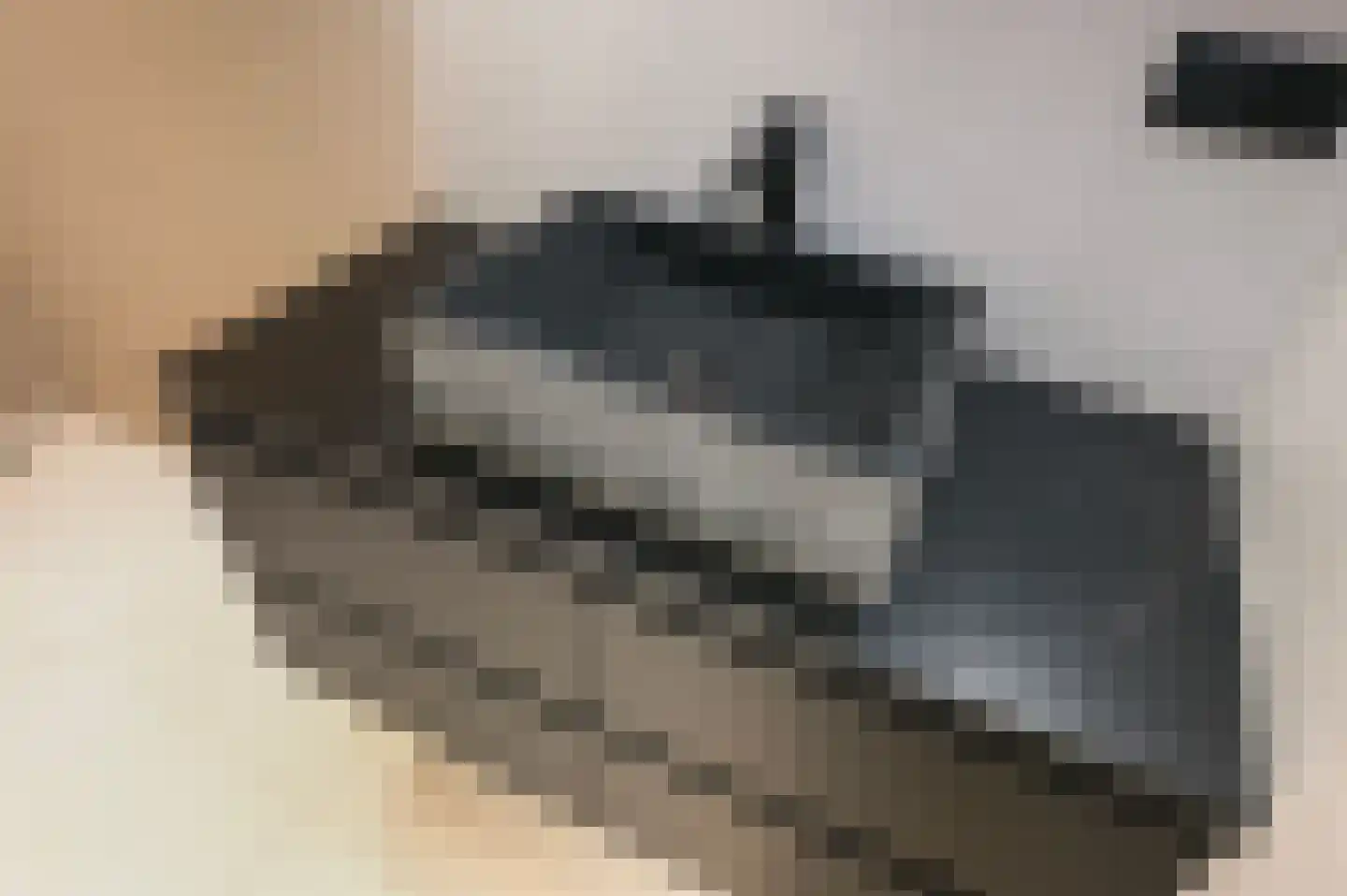 Aart van der Leeuwkade 112 Voorburg thumbnail 34