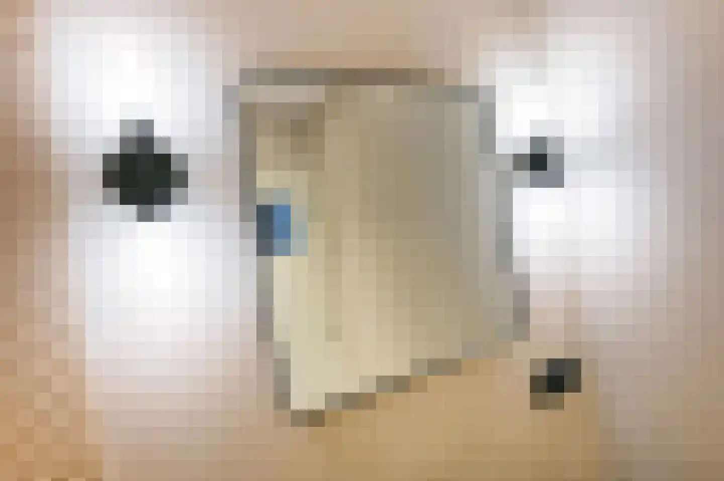 Aart van der Leeuwkade 112 Voorburg thumbnail 35