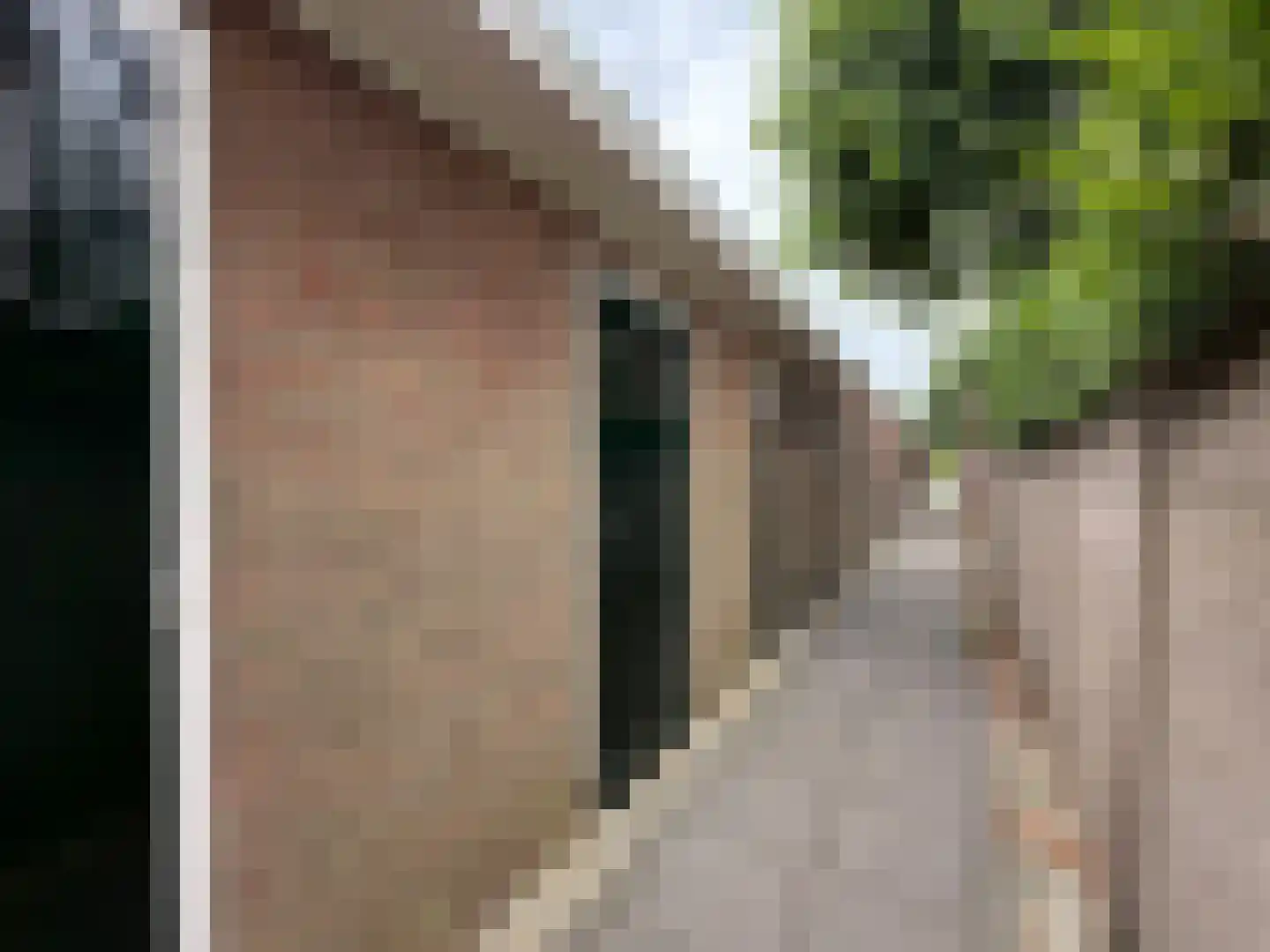 Aart van der Leeuwkade 112 Voorburg thumbnail 36