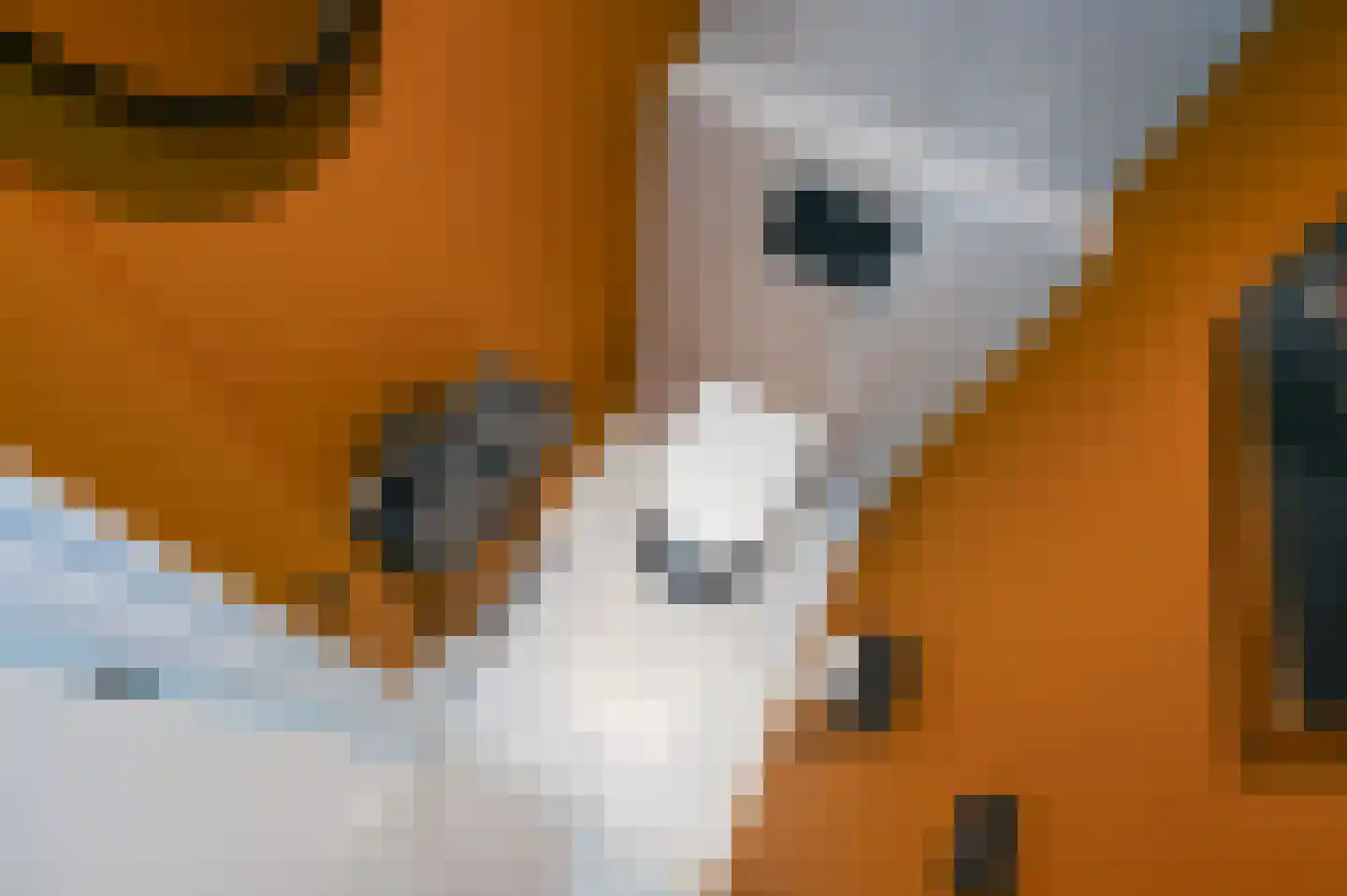 Aart van der Leeuwkade 112 Voorburg thumbnail 5
