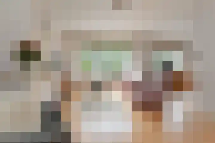 Aart van der Leeuwkade 114 Voorburg thumbnail 16
