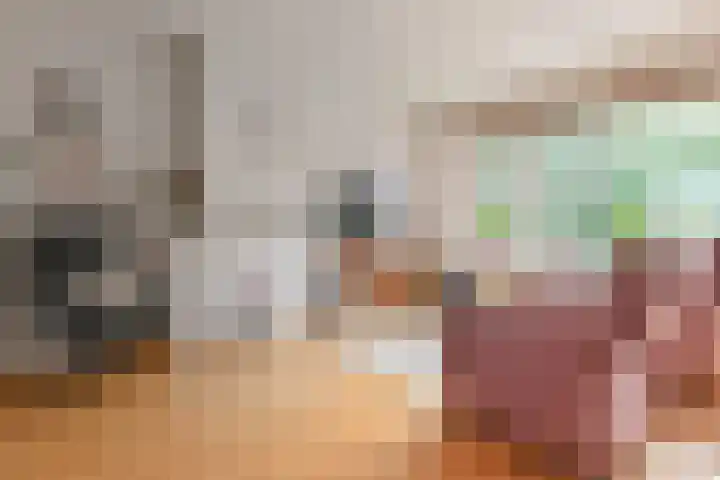 Aart van der Leeuwkade 114 Voorburg thumbnail 17