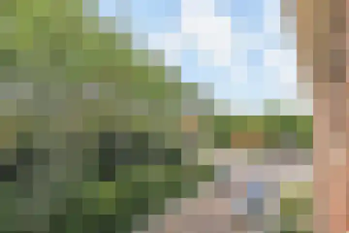 Aart van der Leeuwkade 114 Voorburg thumbnail 19