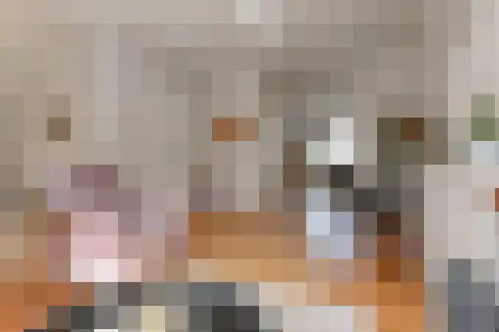 Aart van der Leeuwkade 114 Voorburg thumbnail 20