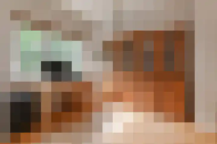 Aart van der Leeuwkade 114 Voorburg thumbnail 21
