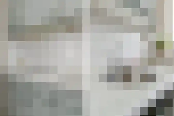 Aart van der Leeuwkade 114 Voorburg thumbnail 35